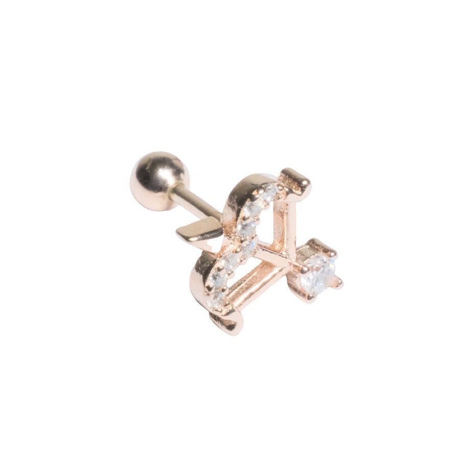 Nur Silver Erosun Oku Tragus Gümüş Küpe NUR-KP00270