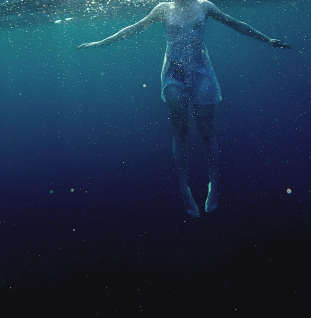 the shark in your water