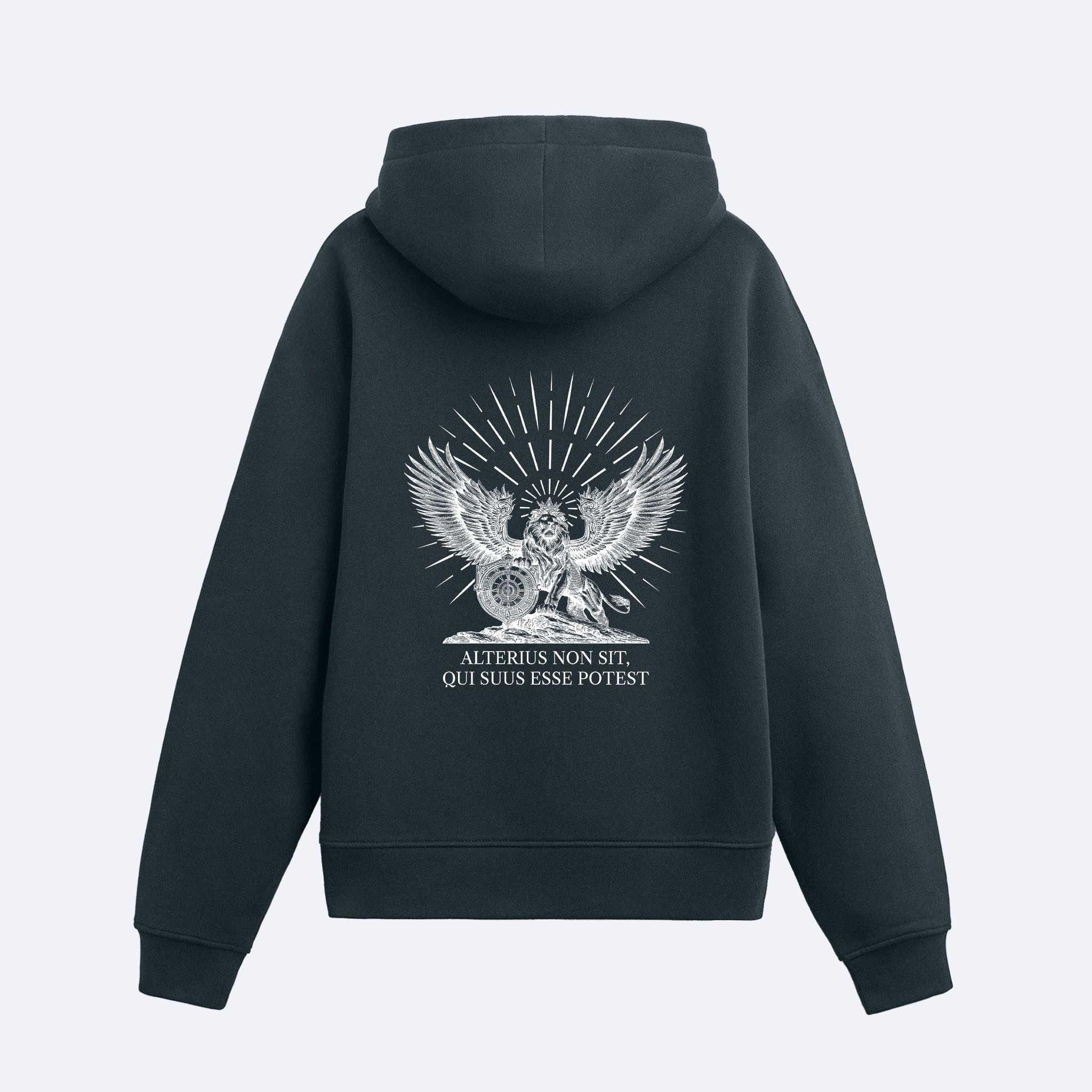 Alterius Kapşonlu Sweatshirt