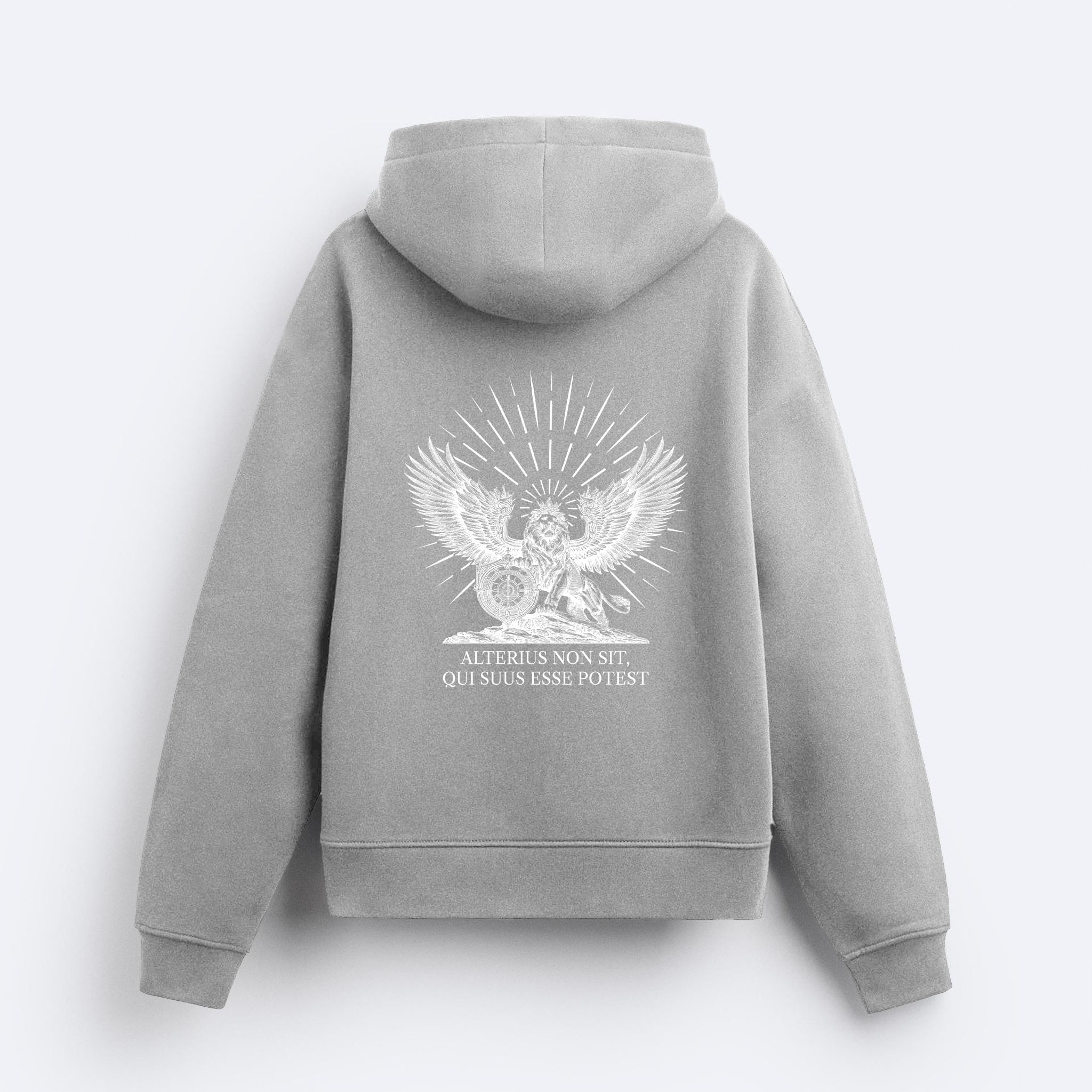 Alterius Kapşonlu Sweatshirt