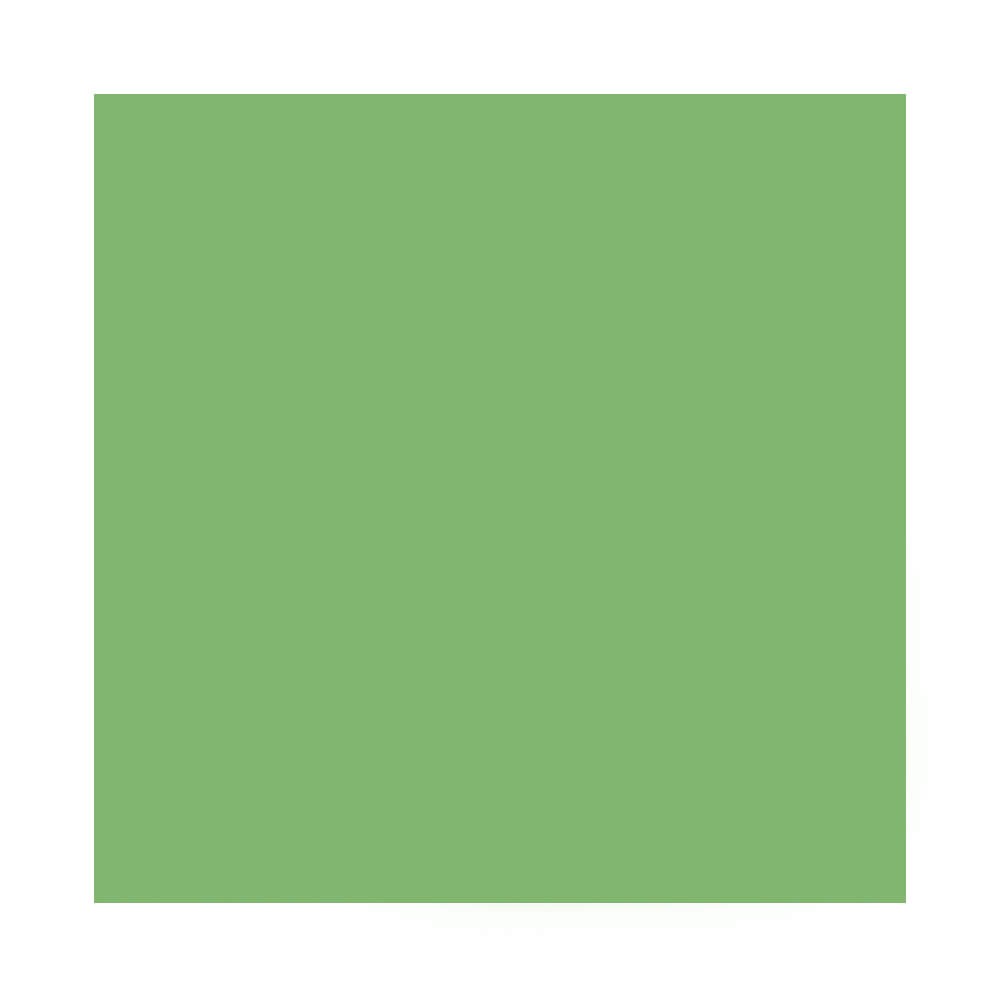 Alex Fon Kartonu 50x70 160gr Fıstık Yeşil