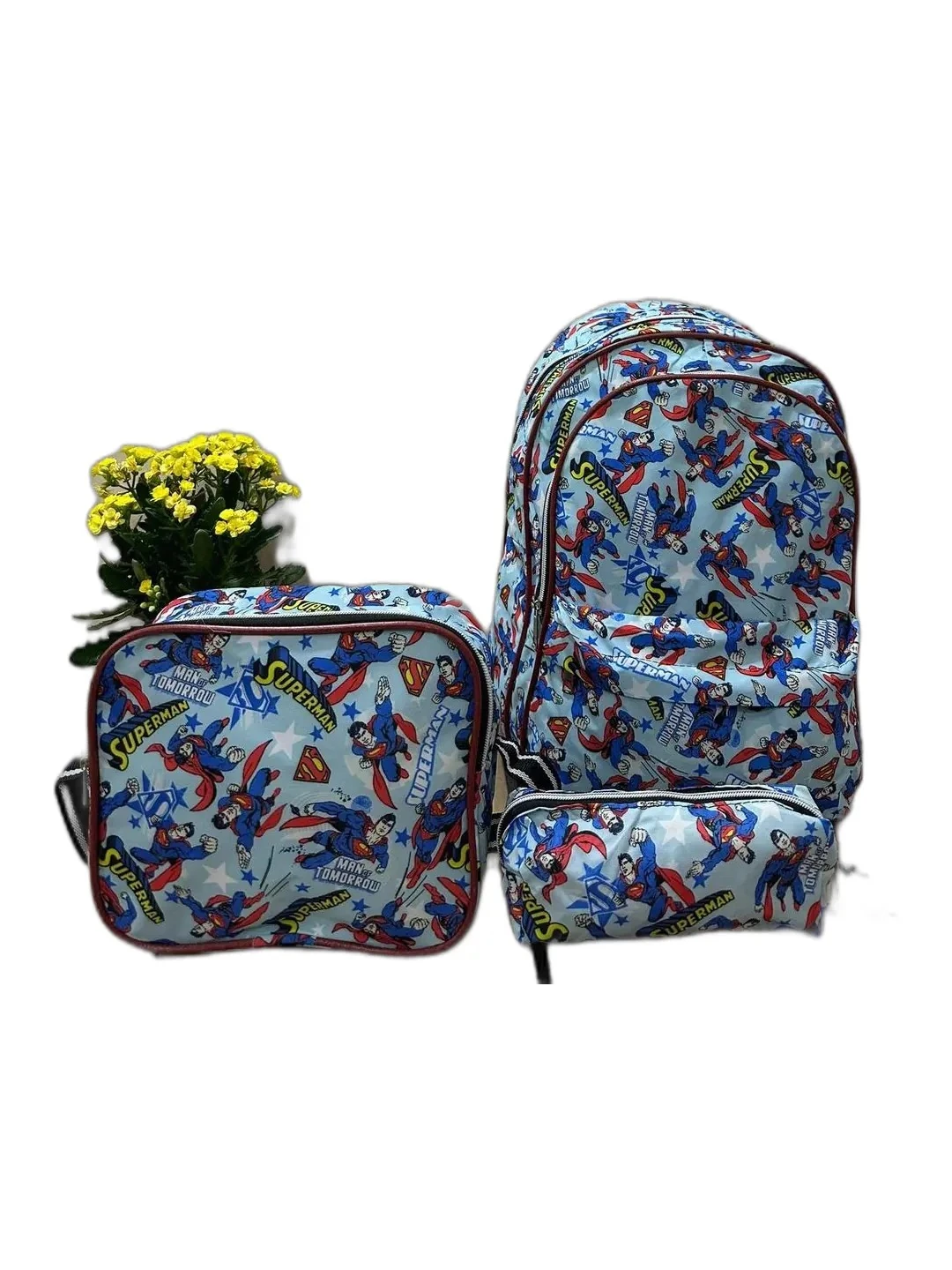 Çizgi Film Karakter Desen Beslenmeli Okul Çantası - çok renkli4