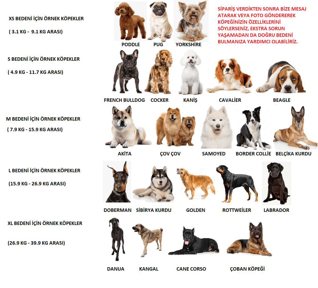 Köpek Göğüs Tasmalık