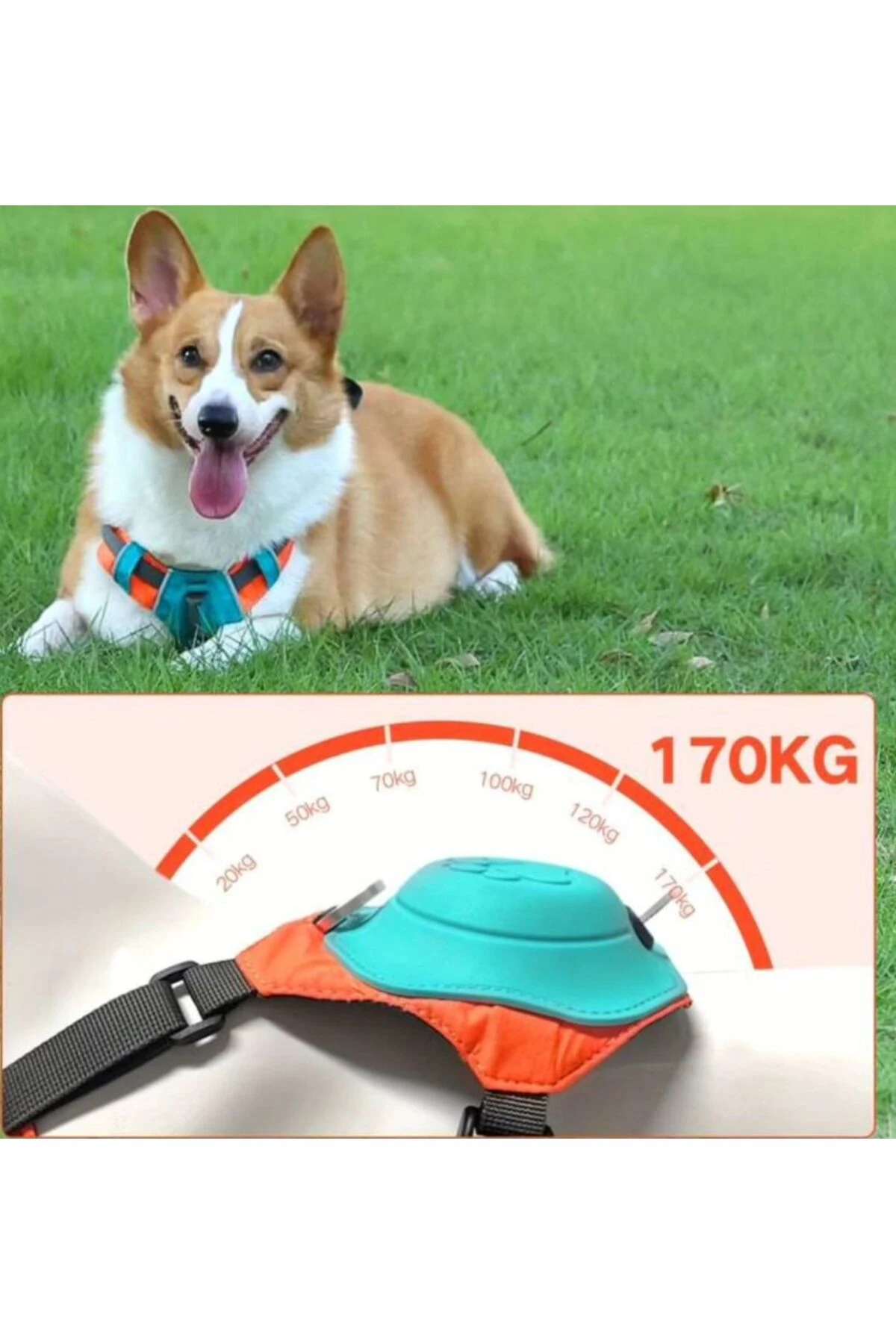 Köpek Tasması Gövdelik Ve Göğüslük Otomatik Toplama Rahat Ve Konforlu Yürüyüş Tasma