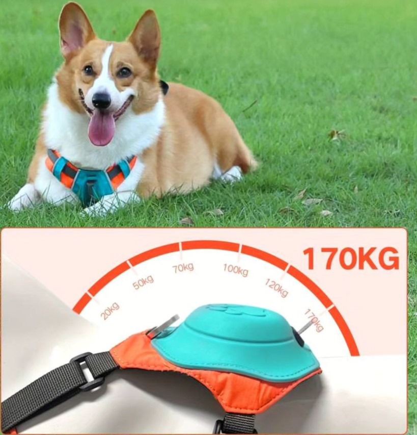 Köpek Göğüs Tasmalık