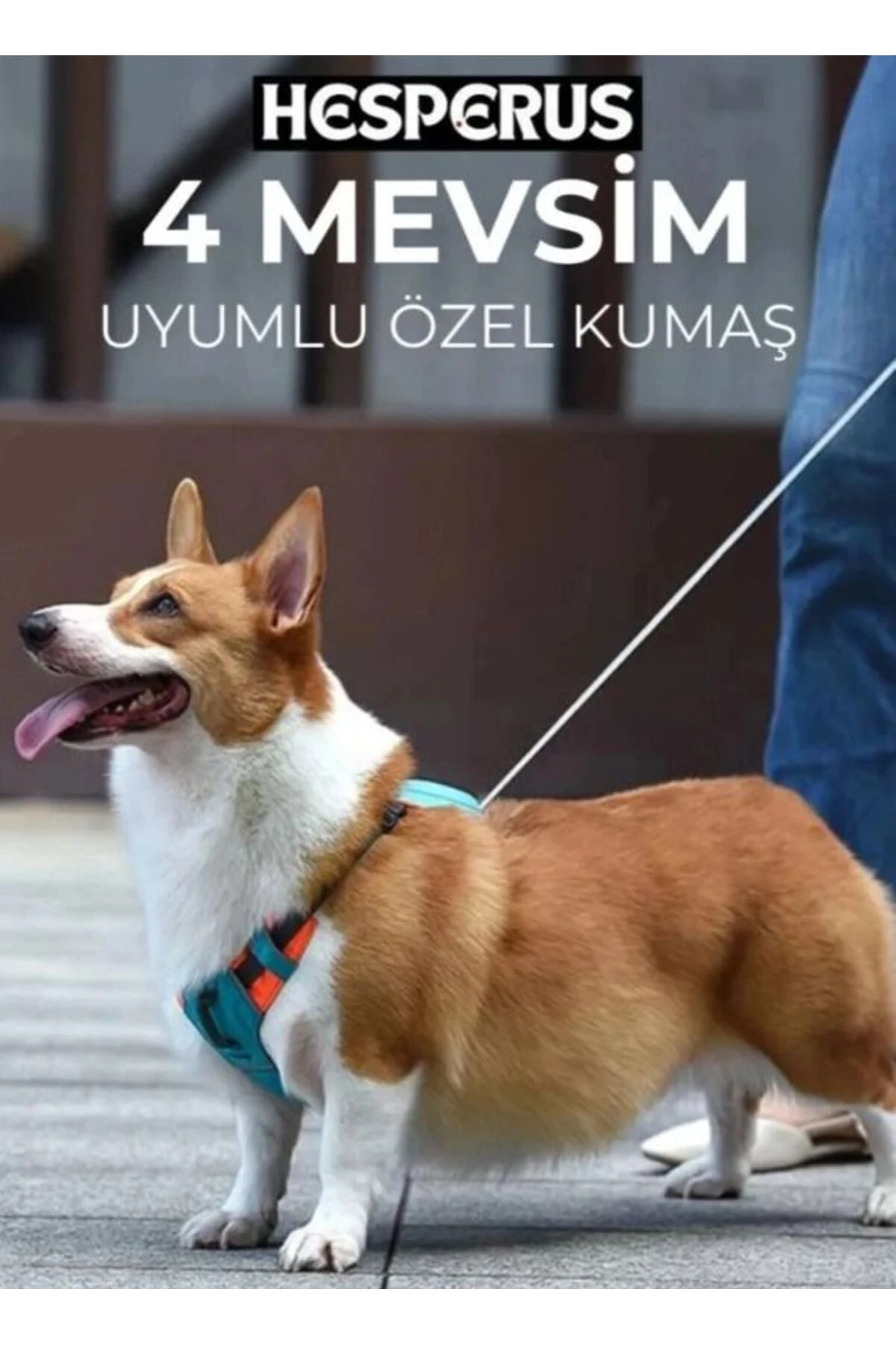 Köpek Tasması Gövdelik Ve Göğüslük Otomatik Toplama Rahat Ve Konforlu Yürüyüş Tasma