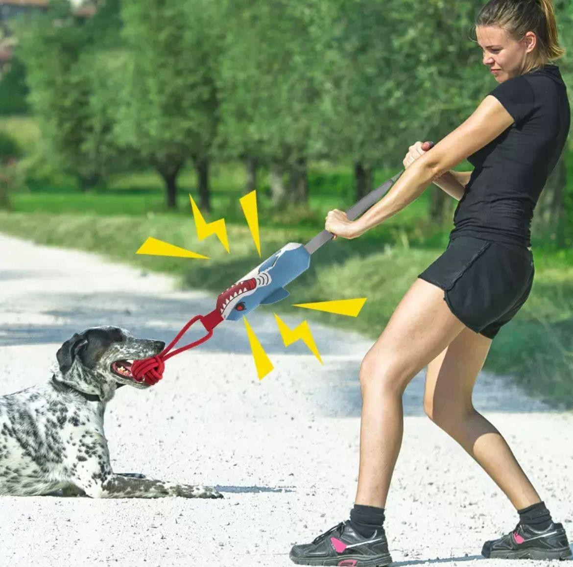 Köpek Sesli İp Çekme 