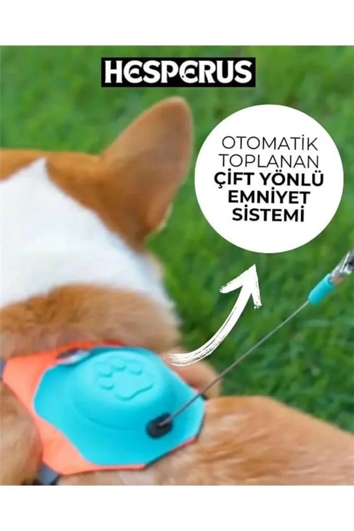 Köpek Tasması Gövdelik Ve Göğüslük Otomatik Toplama Rahat Ve Konforlu Yürüyüş Tasma