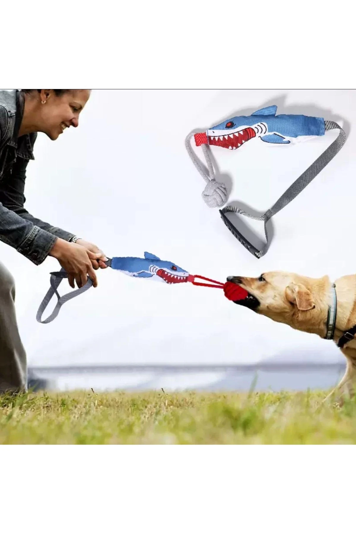 Köpek Için Sesli Halat Çekiş Stres Oyuncağı Köpek Balığı Şeklinde Kemirme Ve Isırma Oyuncağı