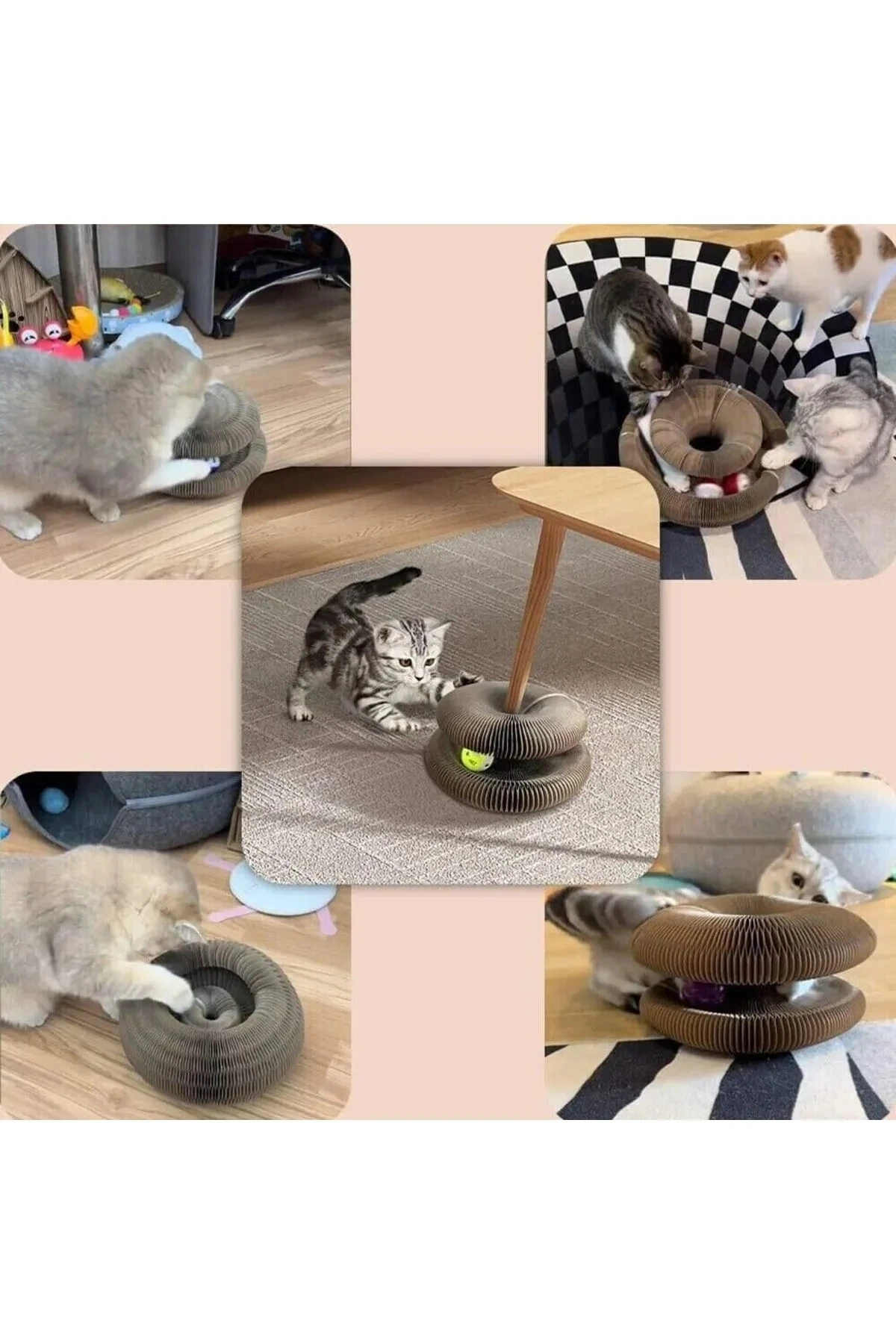 Akordeon Kedi Tırmalama Tahtası