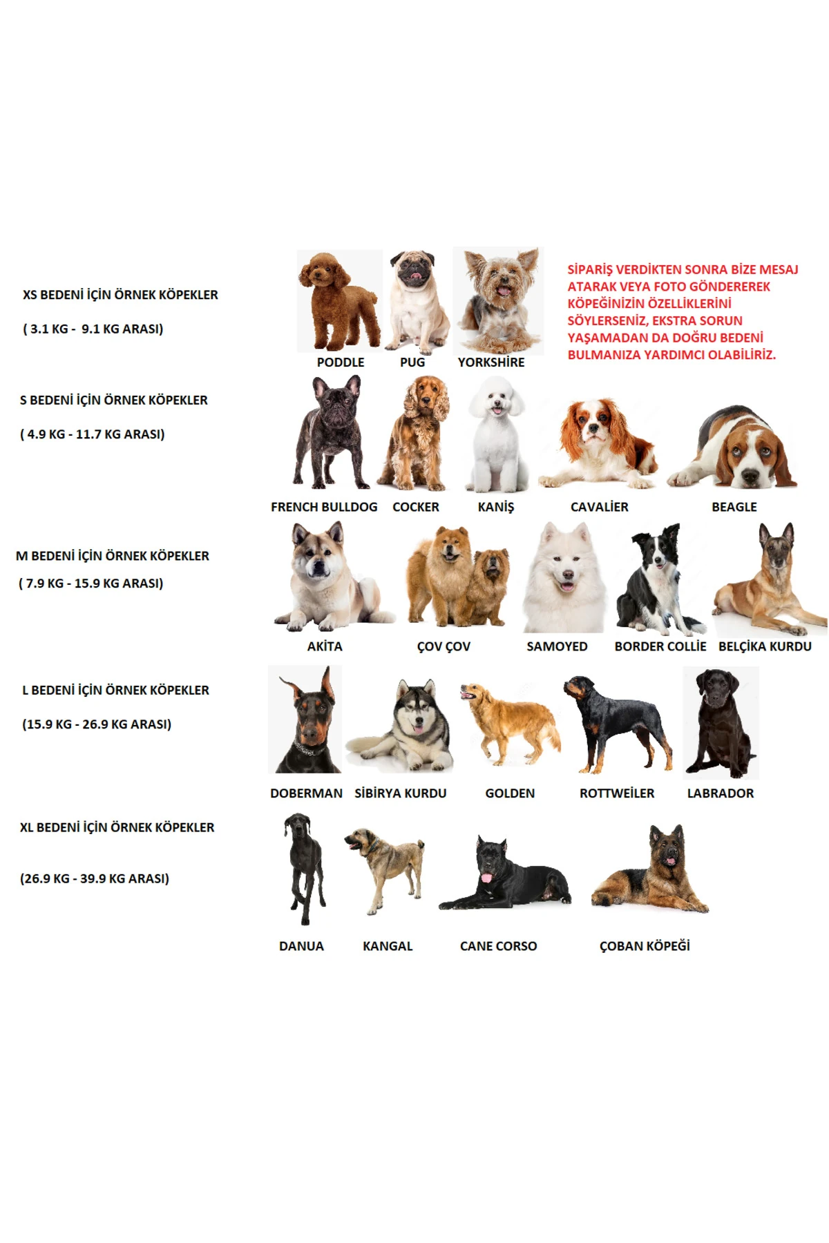 Köpek Tasması Gövdelik Ve Göğüslük Otomatik Toplama Rahat Ve Konforlu Yürüyüş Tasma