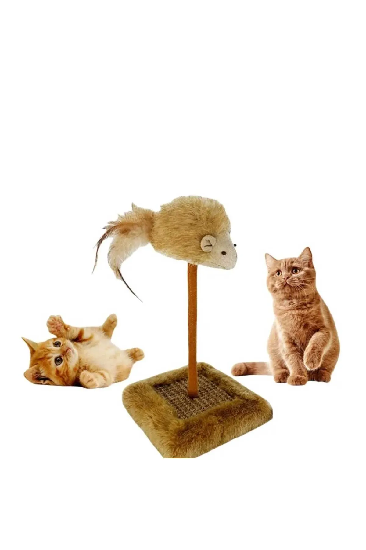 Sesli Fare Başlıklı Tırmalama Oyuncağı Kedi İçin Tırnak Sağlığı ve Eğlence Bir Arada