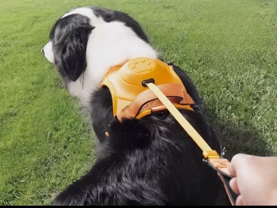 Köpek Tasması Gövdelik Ve Göğüslük Otomatik Toplama Rahat Ve Konforlu Yürüyüş Tasma - Turuncu M