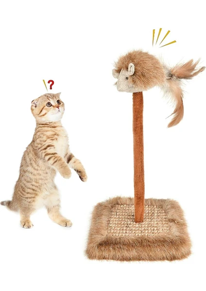 Sesli Fare Başlıklı Tırmalama Oyuncağı Kedi İçin Tırnak Sağlığı ve Eğlence Bir Arada