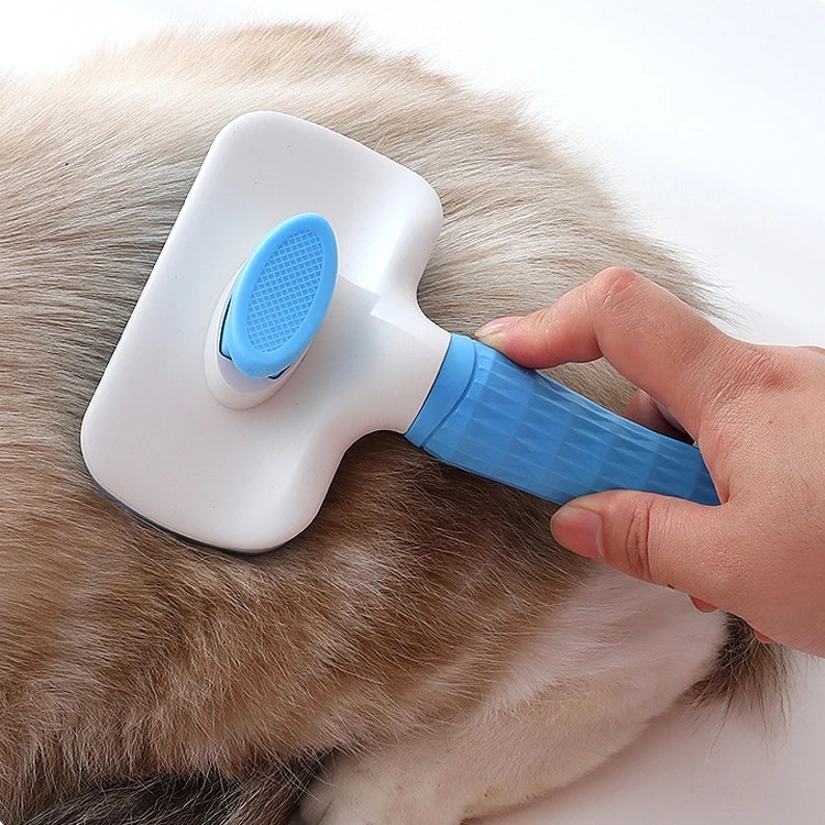 Kedi Köpek Basmalı Tarak 