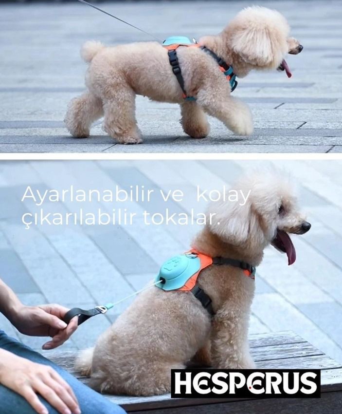 Köpek Göğüs Tasmalık