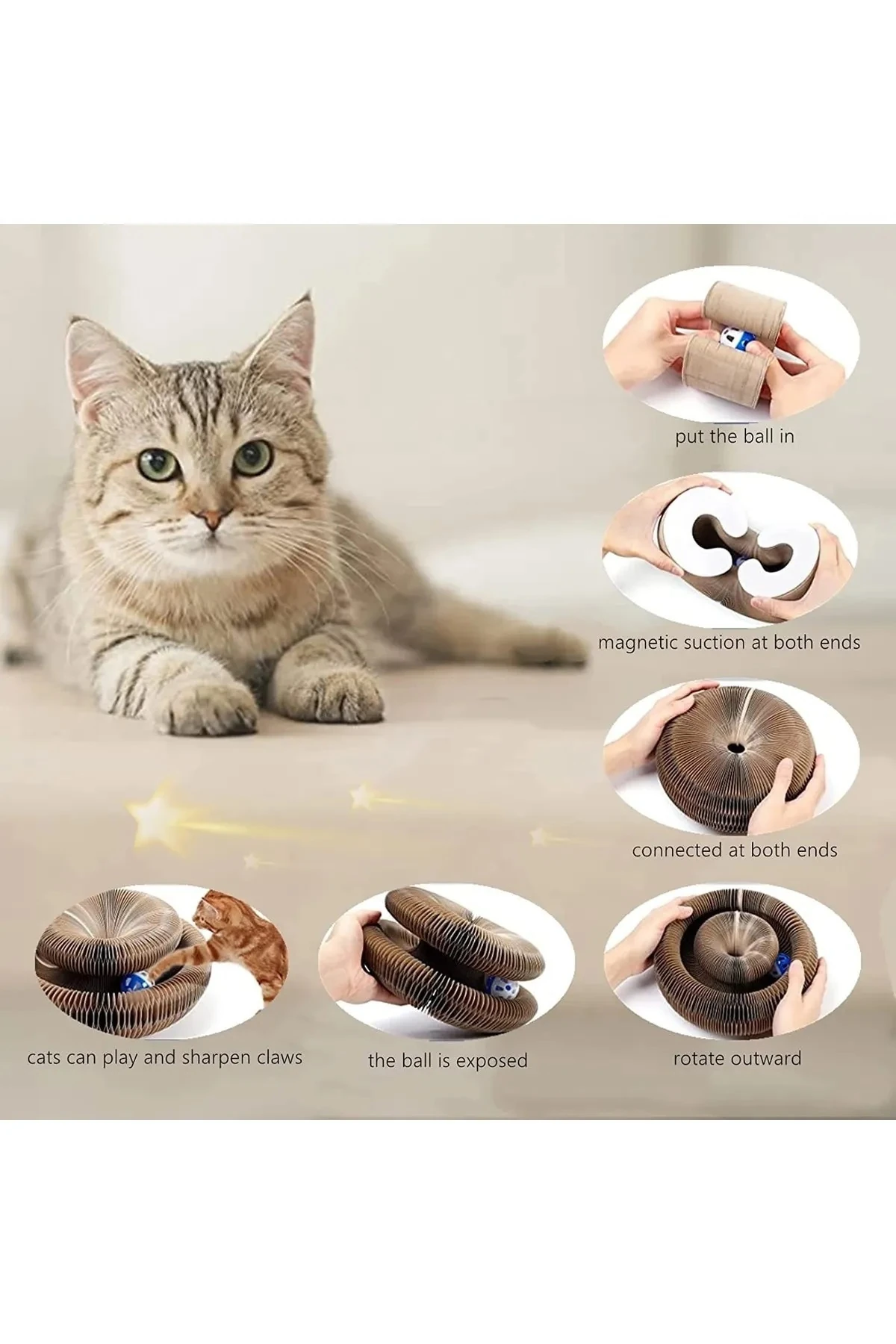 Akordeon Kedi Tırmalama Tahtası