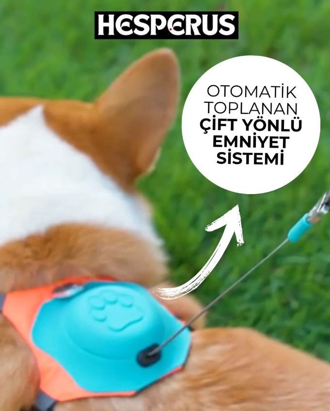 Köpek Göğüs Tasmalık
