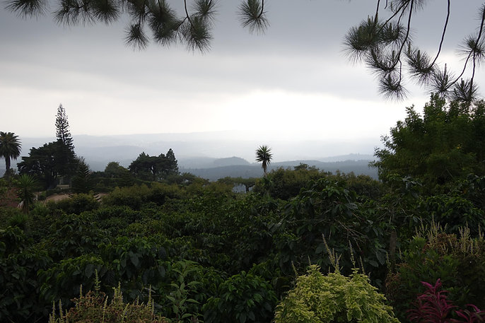 El Salvador Loma linda 