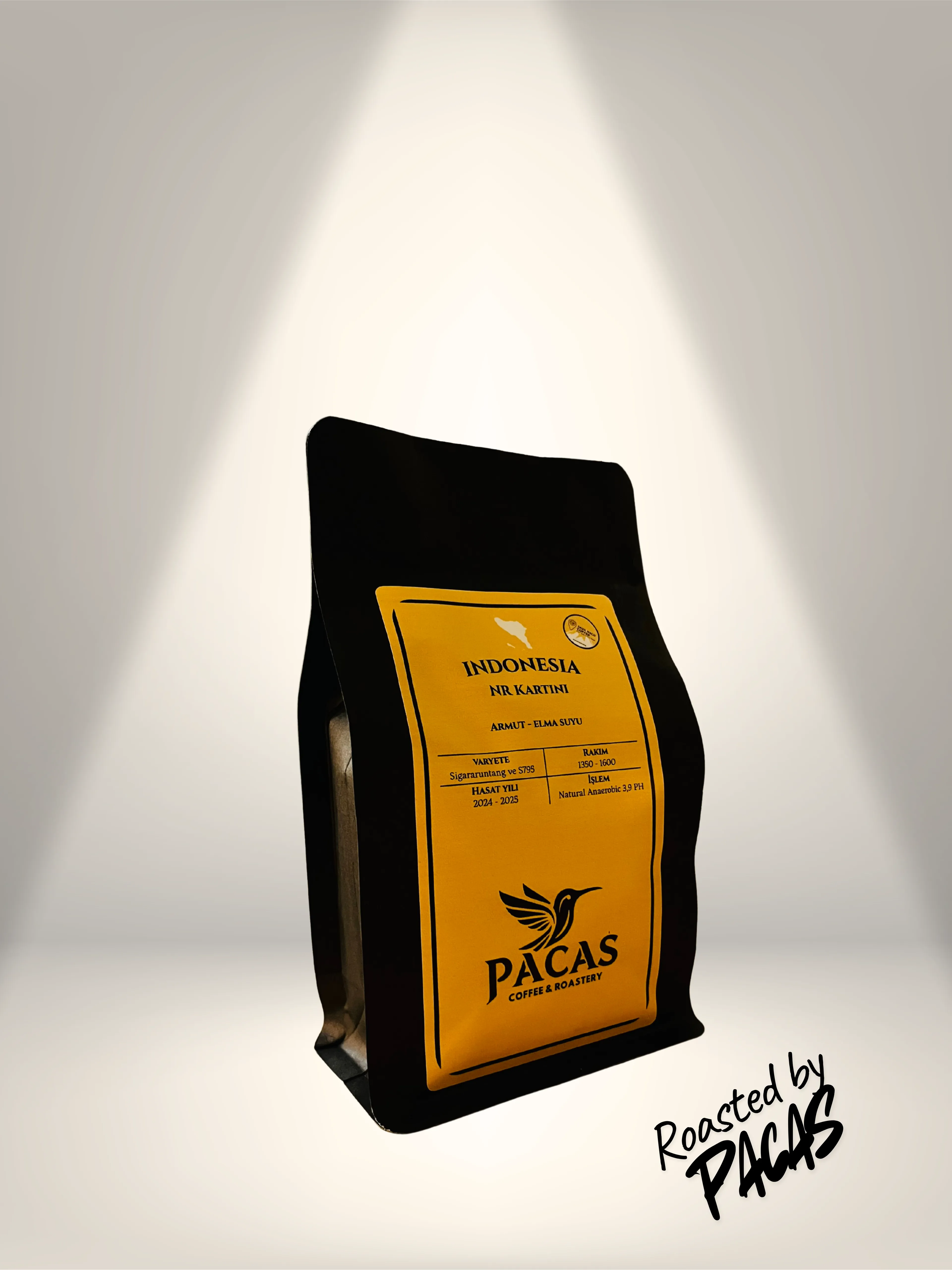 Indonesıa NR Kartini