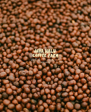 Indonesıa NR Kartini