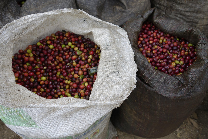 El Salvador Loma linda 