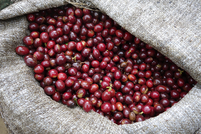 El Salvador Loma linda 