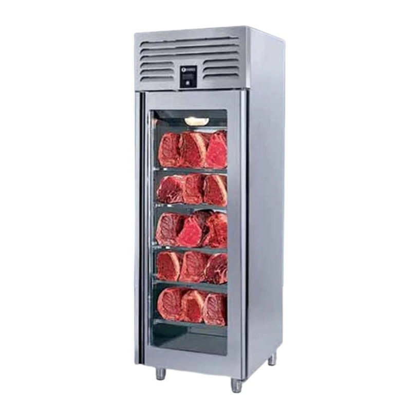 Iceinox Dry Aged Dolap, 1 Kapılı