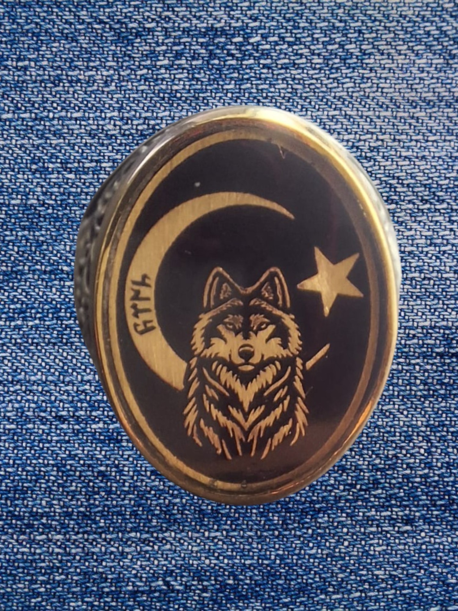 Bozkurtlu Ay Yıldız Modeli