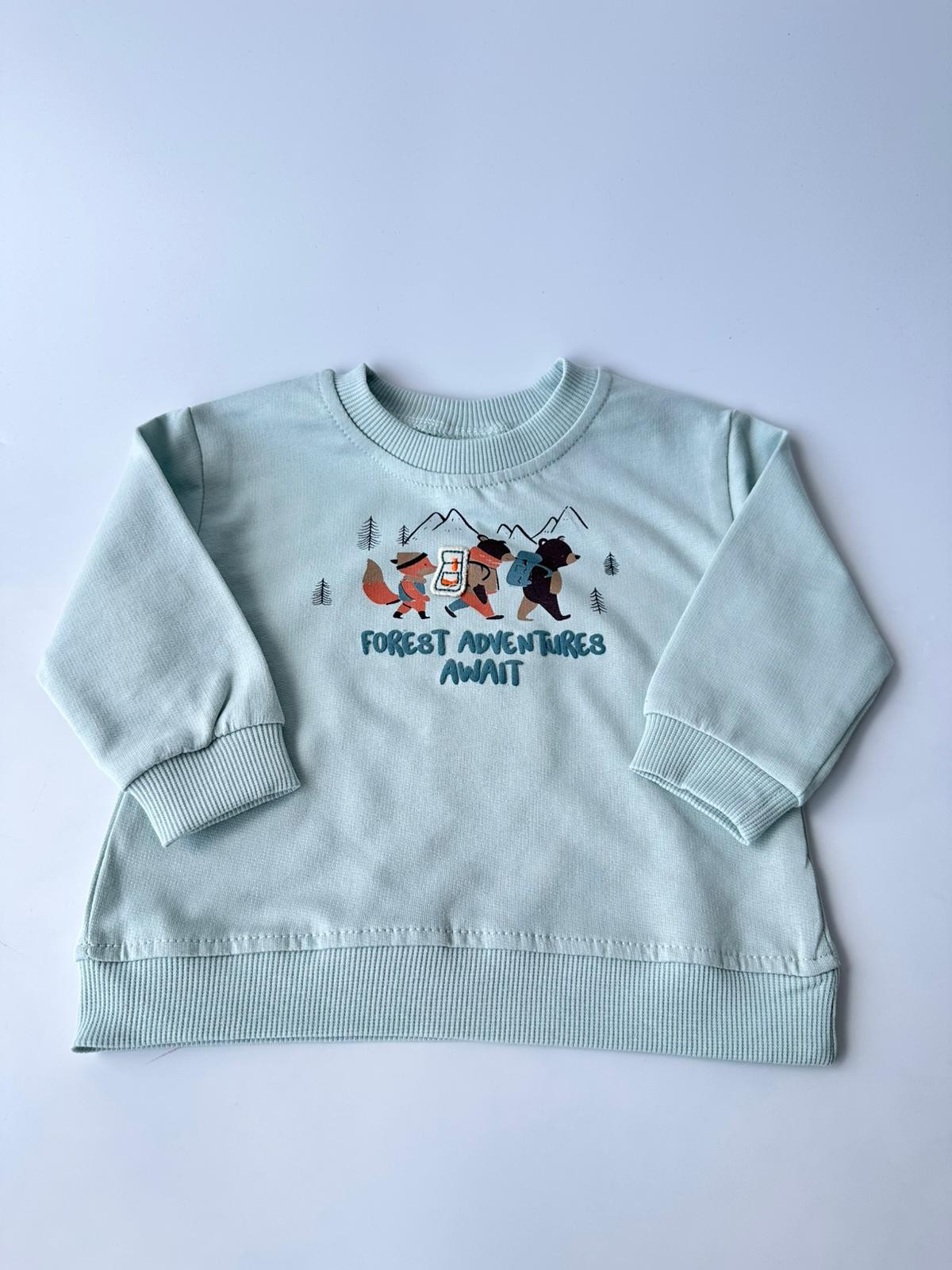  Ön Animal  Desenli  Bisiklet Yaka2 İplik Erkek Bebek Sweatshirt - Mint
