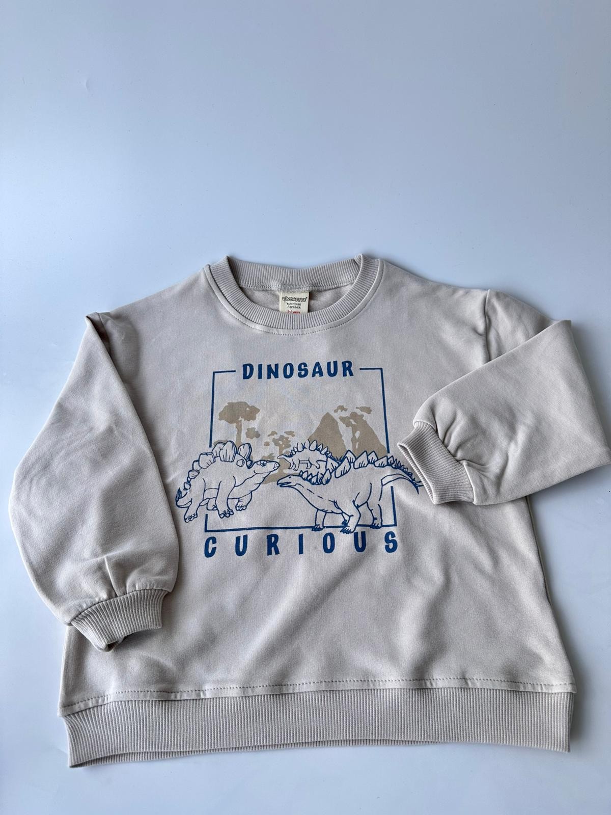 Dinazor Bisiklet Yaka Ribanalı 2 İplik Bej Erkek Çocuk Sweatshirt