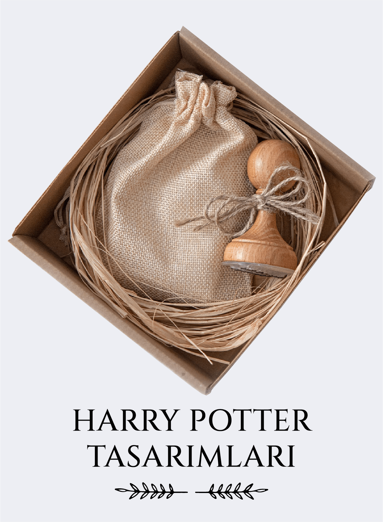 HARRY POTTER TASARIMLARI