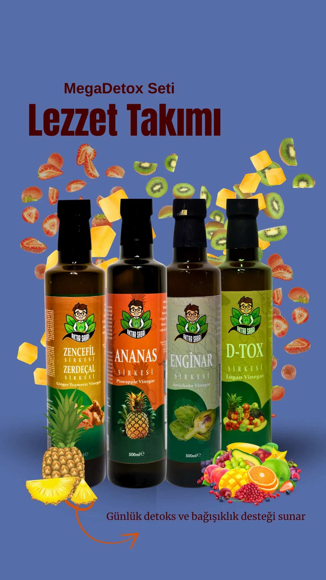 MegaDetox Destek Seti 4’lü – Ananas, Zencefil Zerdeçal, Enginar & D-TOX