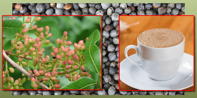 Menengiç Kahvesi: Köklerinden Günümüze Bir Lezzet Yolculuğu