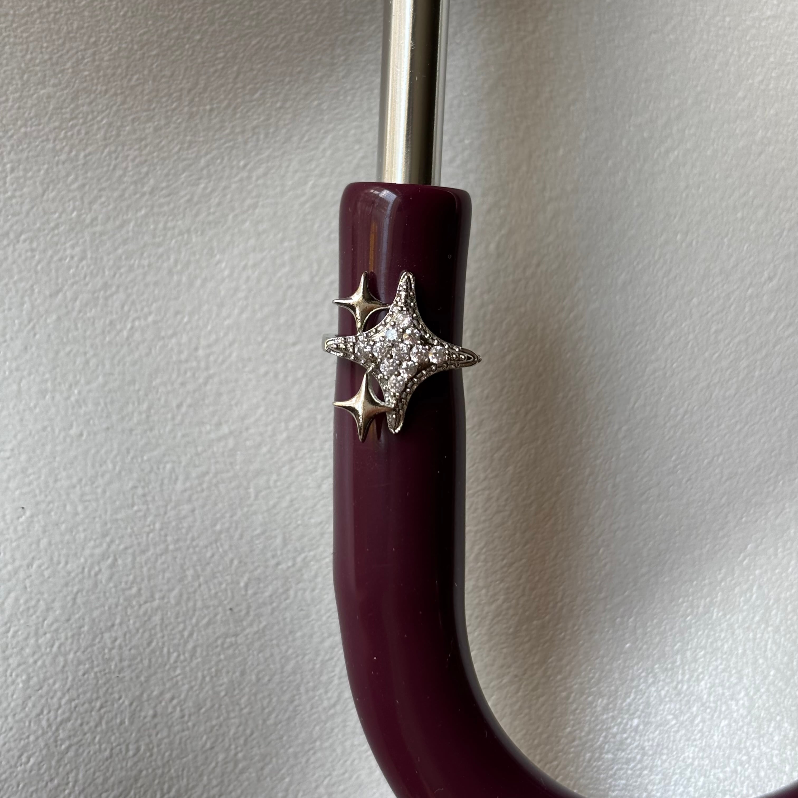 kutup yıldızı charm
