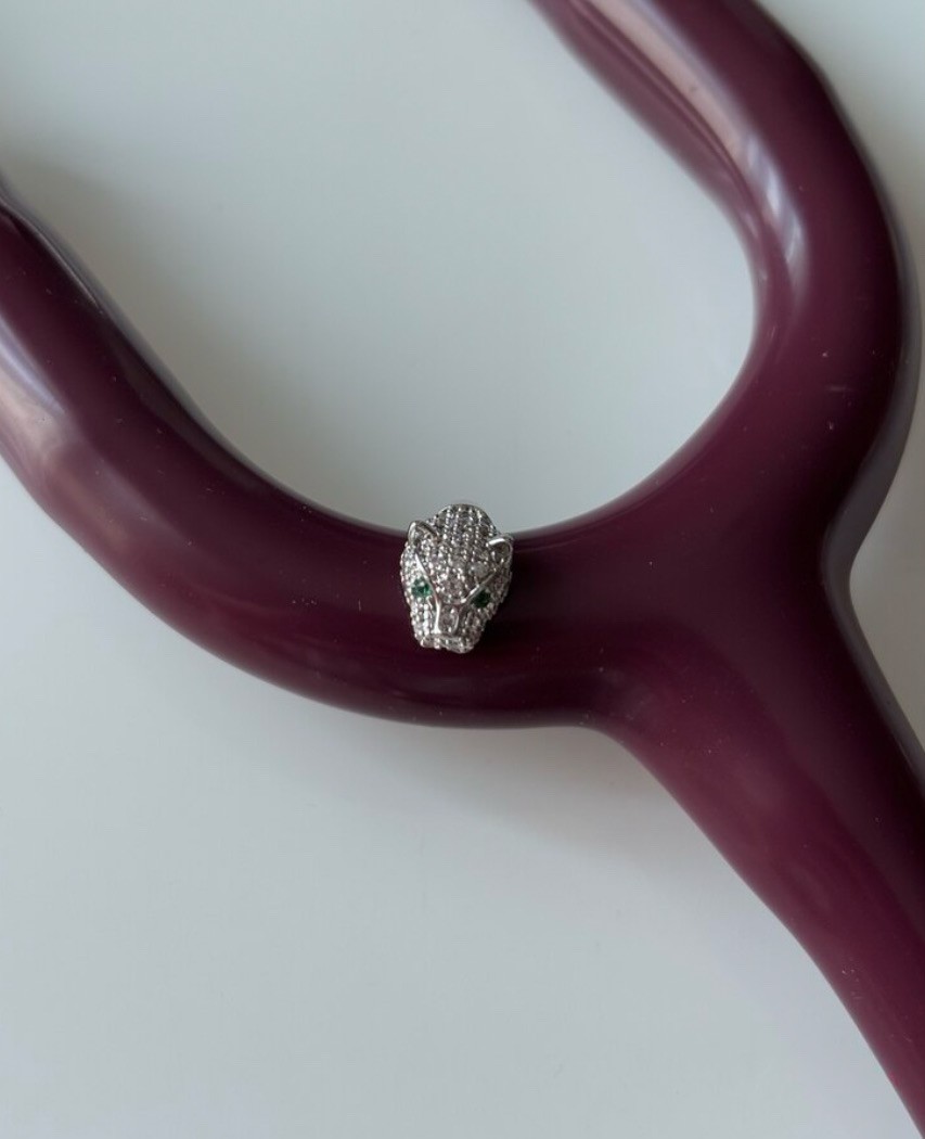 silver kaplan