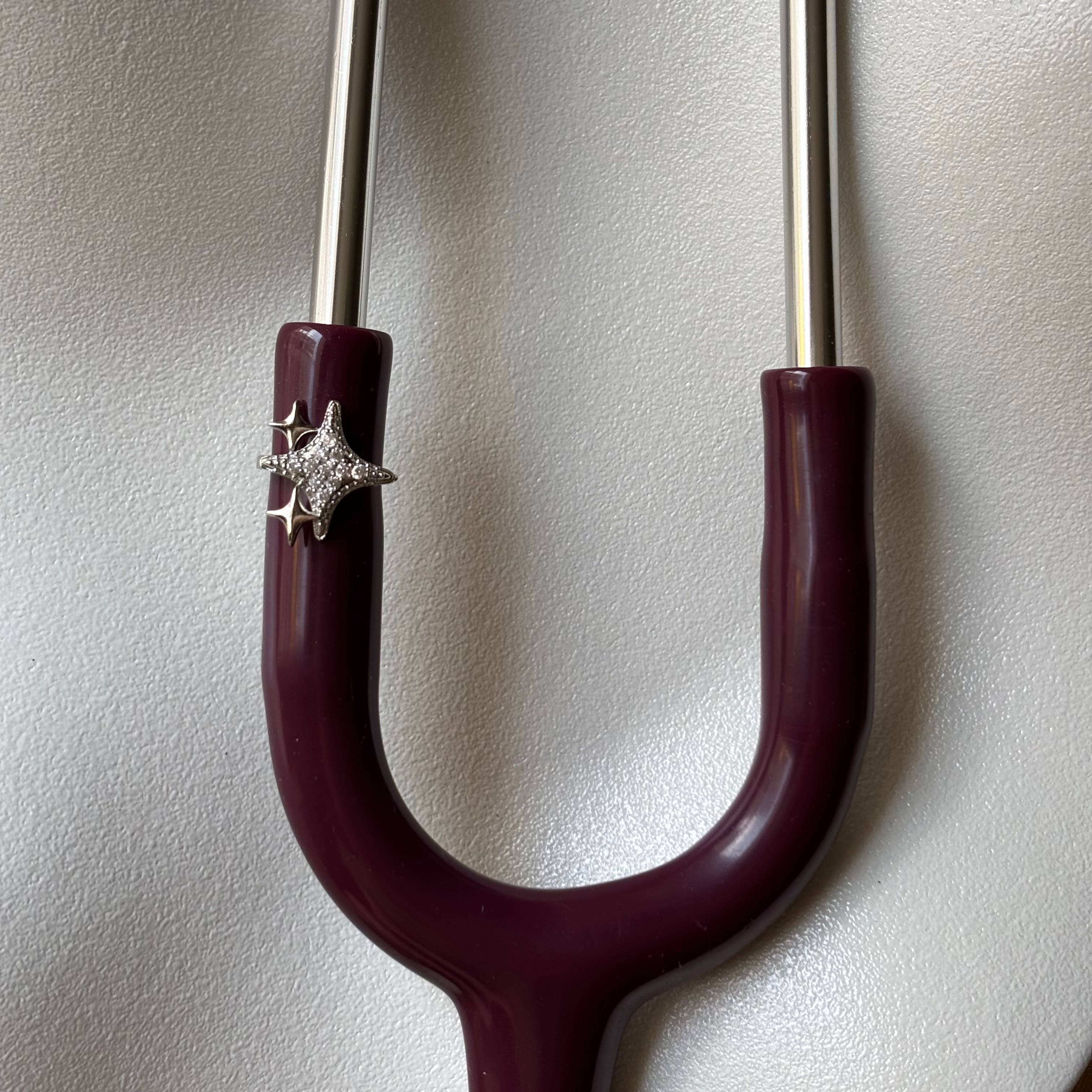 kutup yıldızı charm