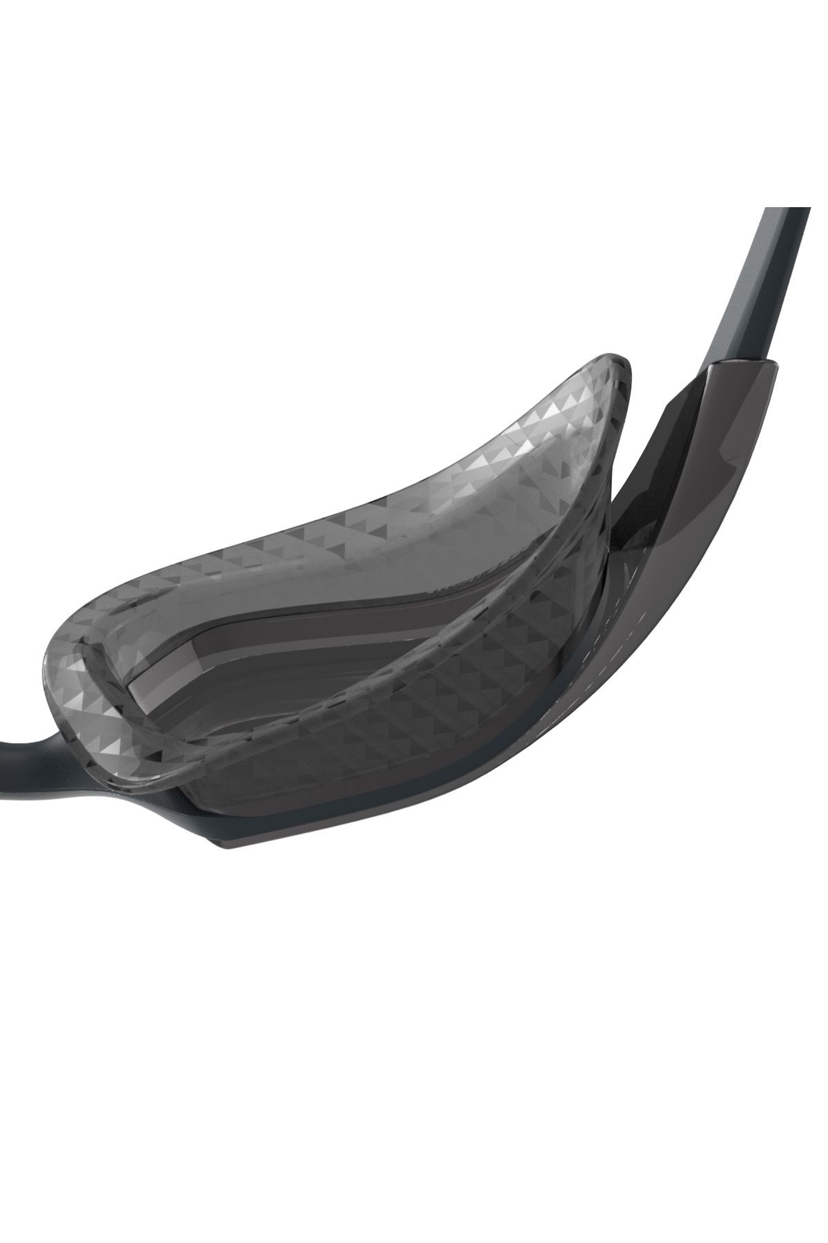 Aquapulse Pro Gog Au Grey/smoke