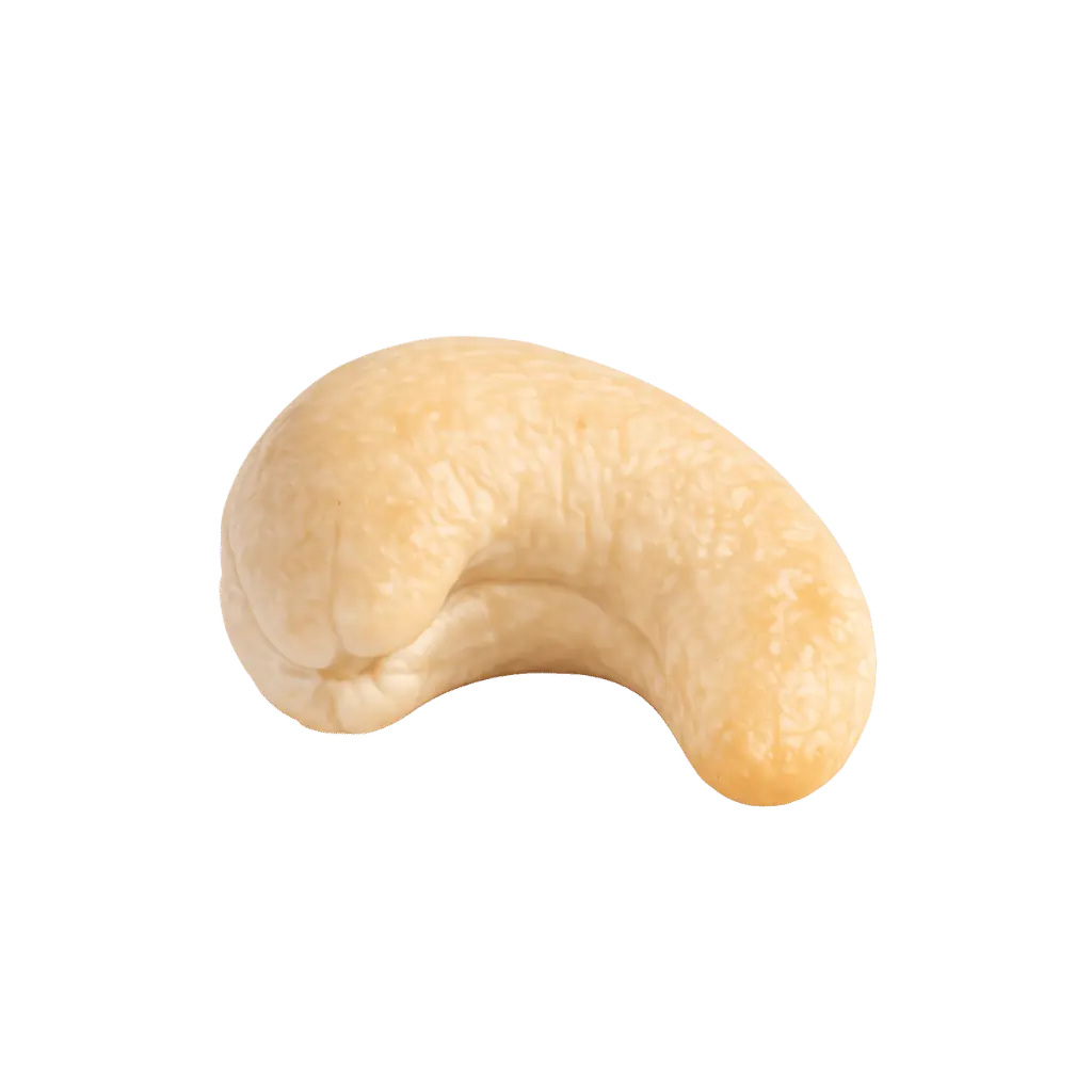 Kaju Fıstığı