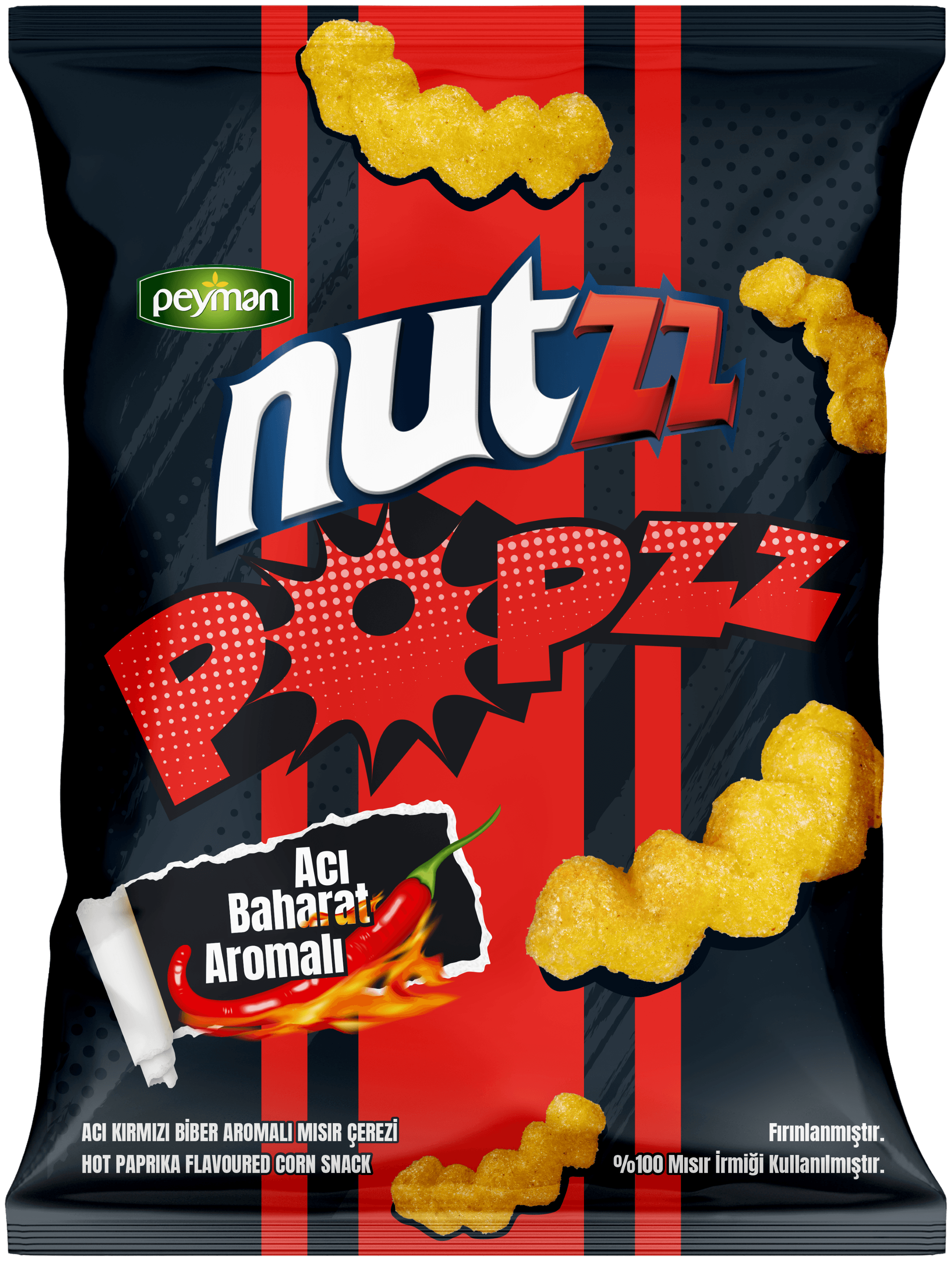 NUTZZ POPZZ ACI BAHARAT AROMALI 100GR