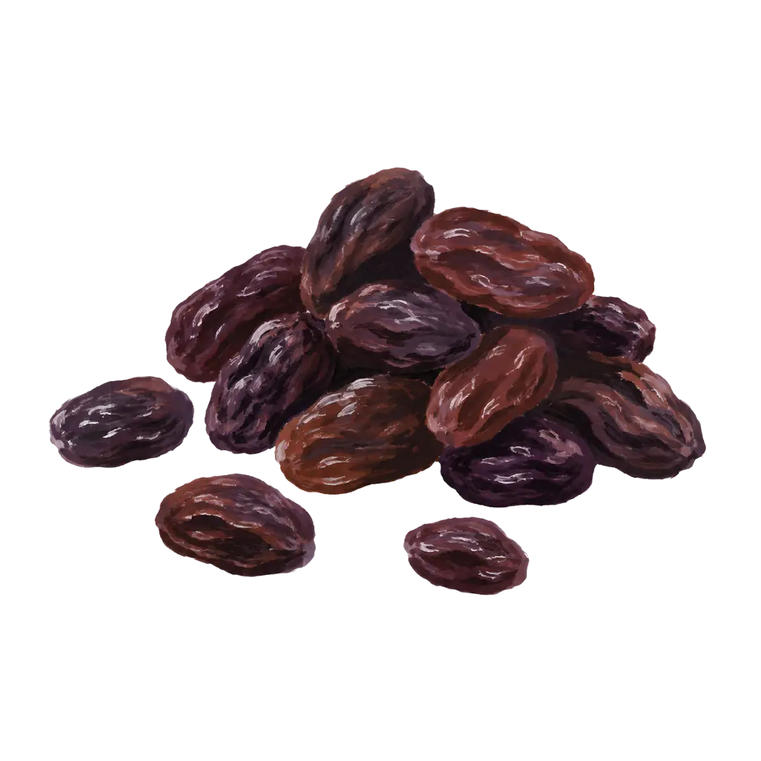 Kuru Üzüm