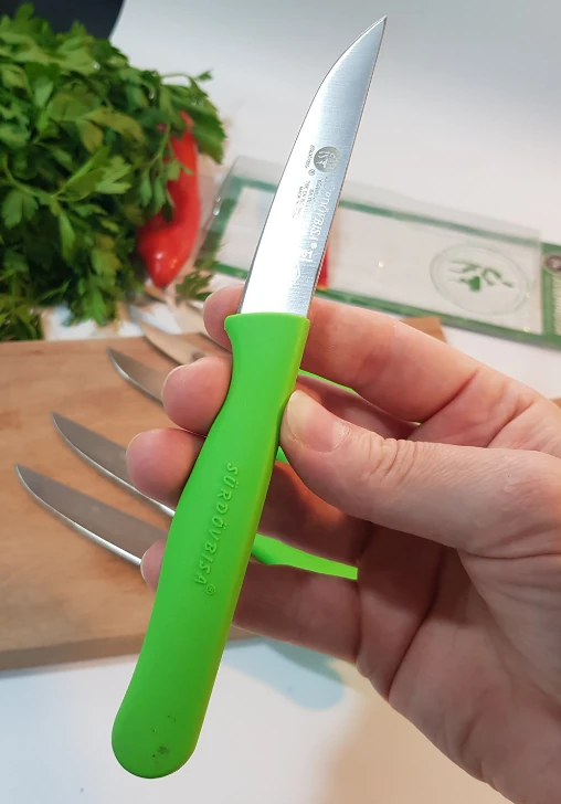 Sürbisa Meyve Takımı Yeşil (6'lı)