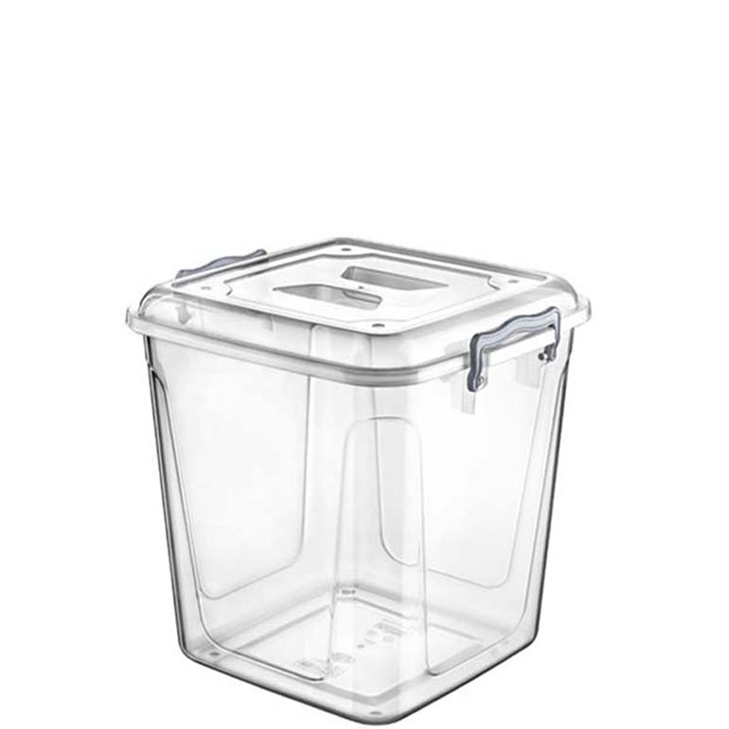 VİOLET 0485 PRENTY BOX 16 LT 241010