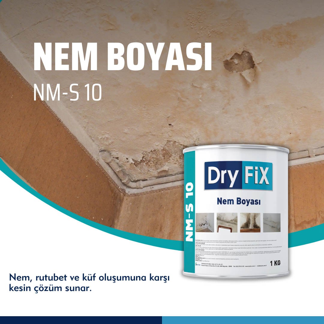 Nem ve Rutubet Boyası 1 kg | NM-S 10