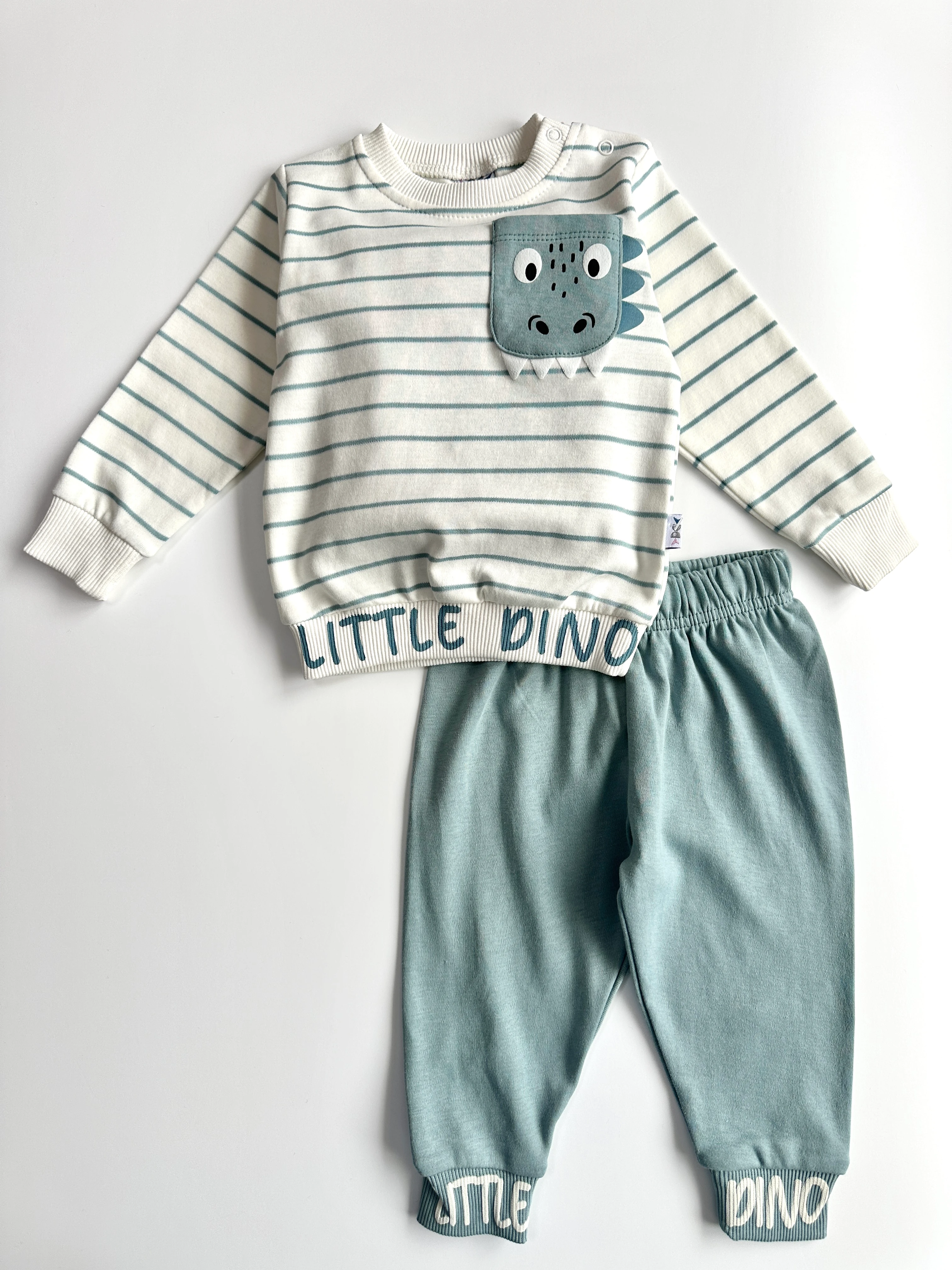 Küçük Dino Çizgili Erkek Bebek İkili Takım