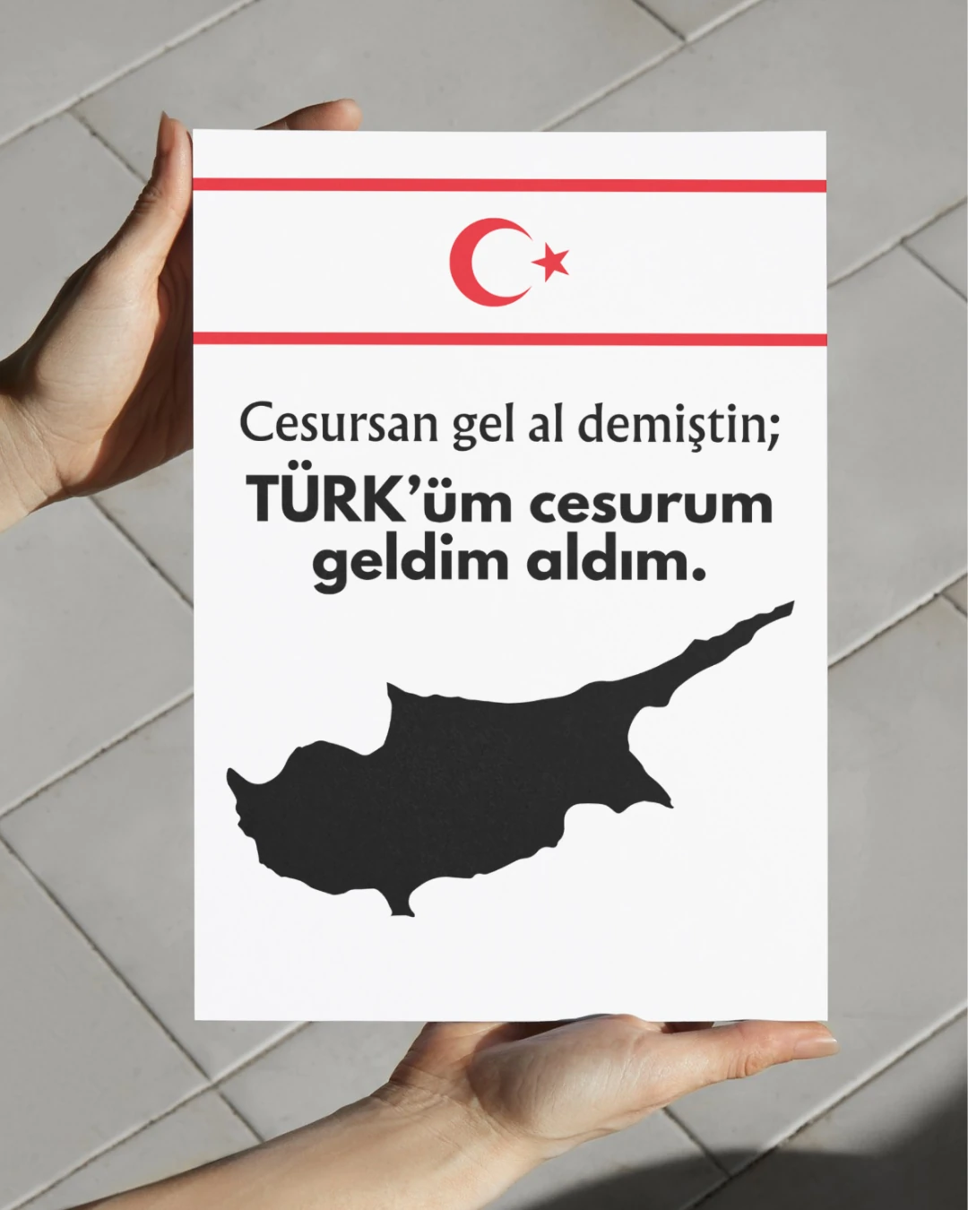 Türk’üm, Cesurum, Geldim, Aldım Posteri (Türk Silahlı Kuvvetleri Serisi)