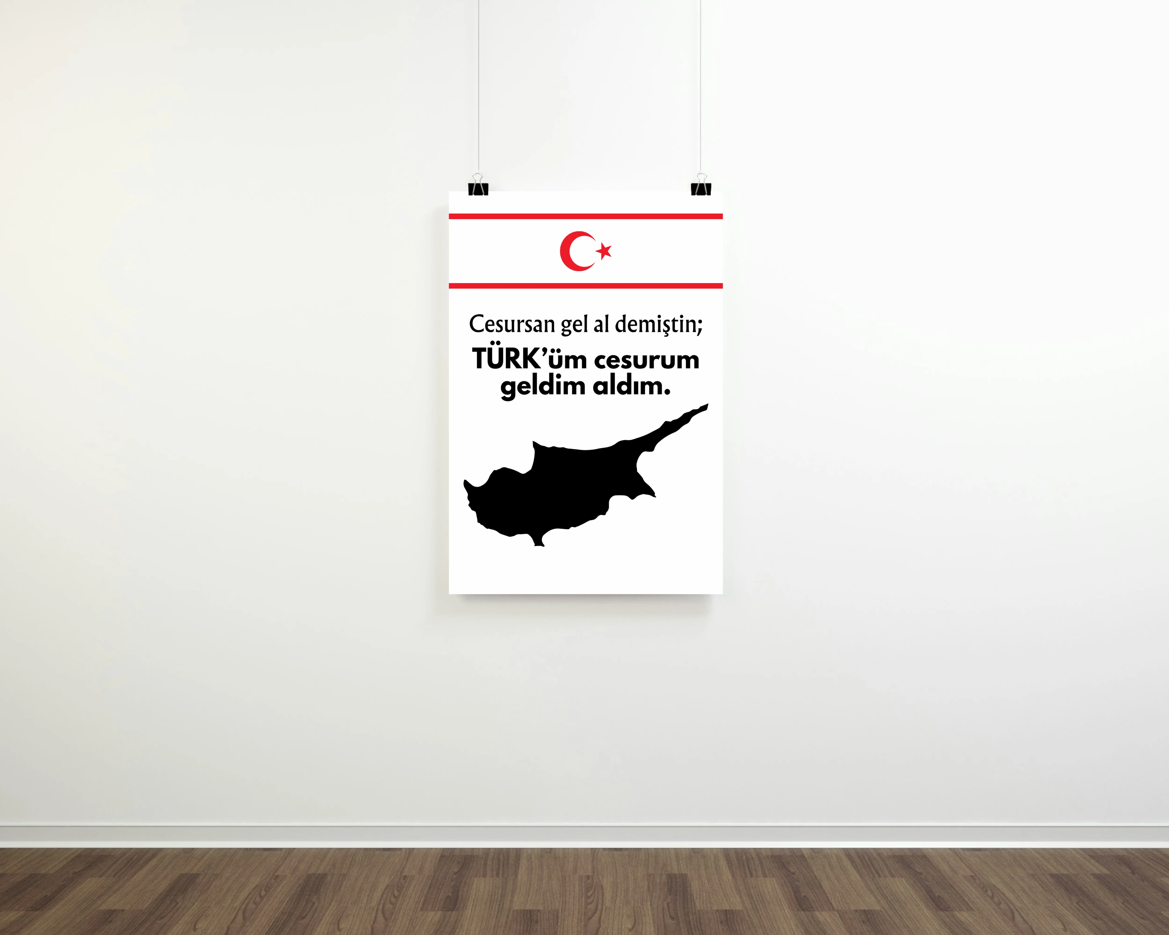 Türk’üm, Cesurum, Geldim, Aldım Posteri (Türk Silahlı Kuvvetleri Serisi)