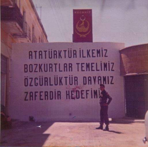Atatürk İlkemiz, Bozkurtlar Temelimiz, Özgürlüktür Davamız, Zaferdir Hedefimiz Posteri