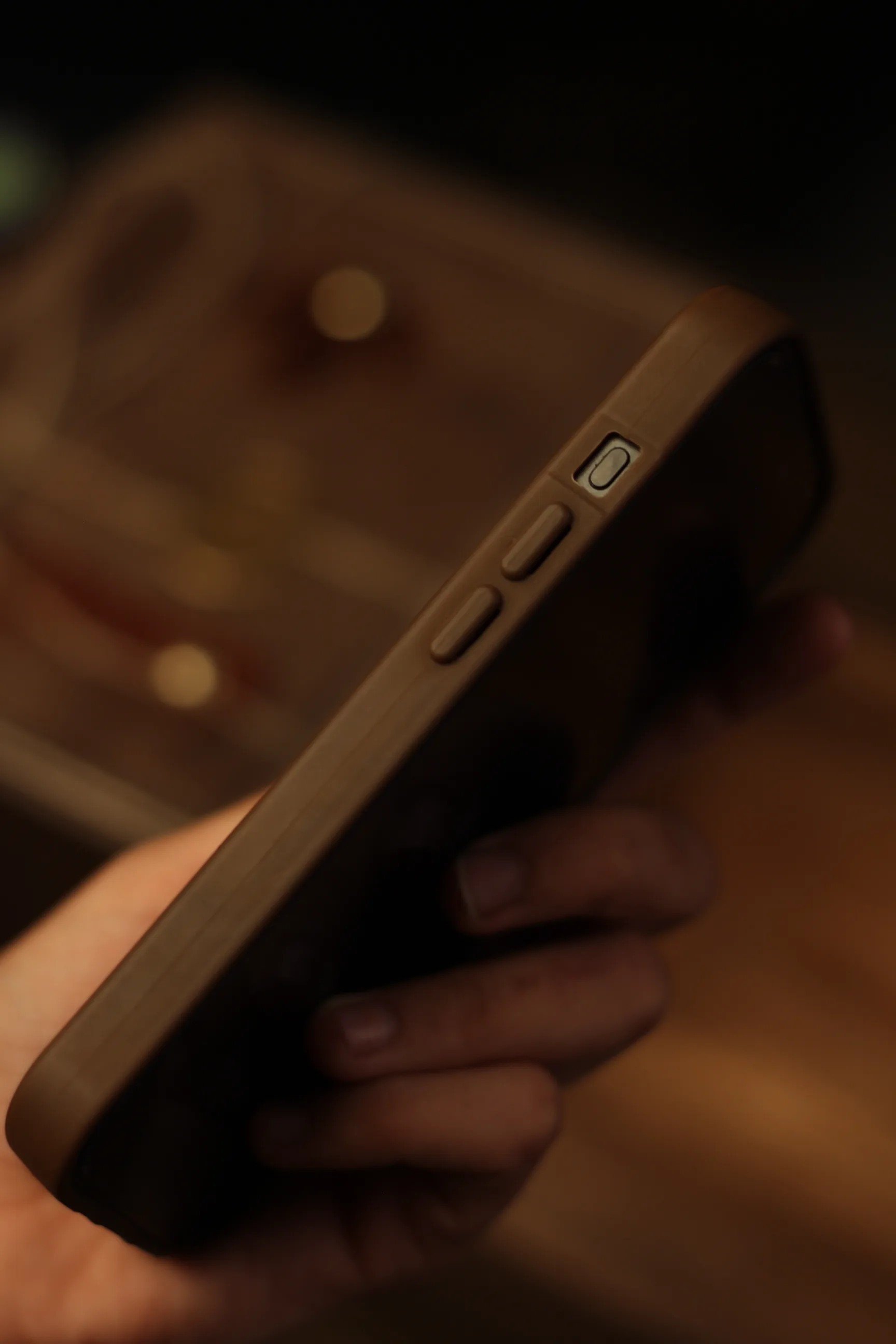 iPhone Deri Kılıf