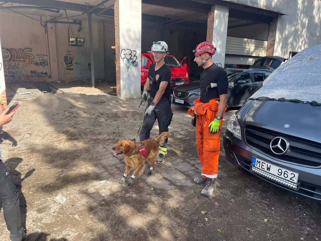 Polonya’da zorlu koşullarda tatbikat.